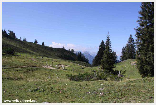 Exploration des trésors cachés de Gosau dans le Salzkammergut.