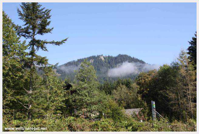Exploration des trésors cachés de Gosau dans le Salzkammergut.