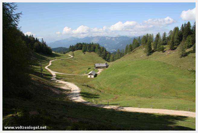 Exploration des trésors cachés de Gosau dans le Salzkammergut.