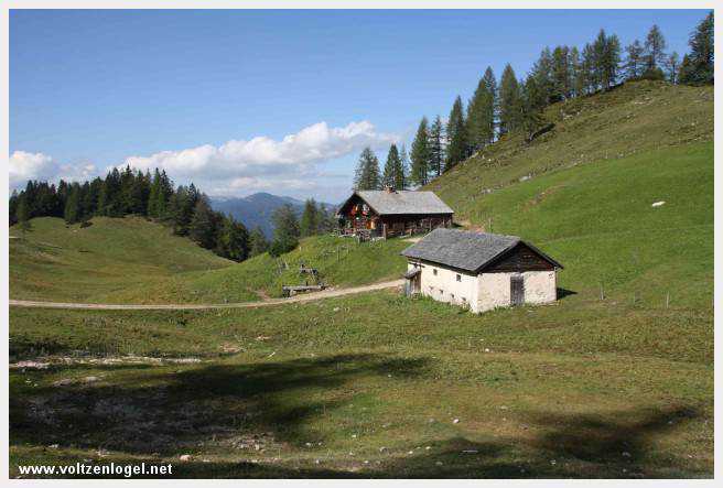 Exploration des trésors cachés de Gosau dans le Salzkammergut.