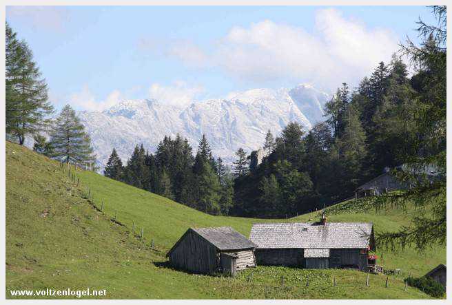 Exploration des trésors cachés de Gosau dans le Salzkammergut.