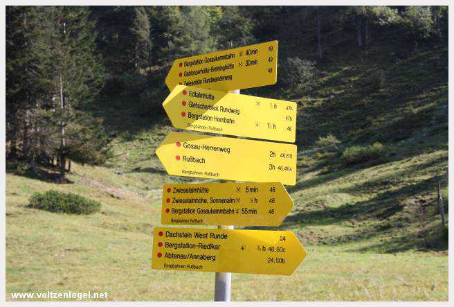 Exploration des trésors cachés de Gosau dans le Salzkammergut.