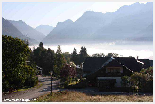 Exploration des trésors cachés de Gosau dans le Salzkammergut.