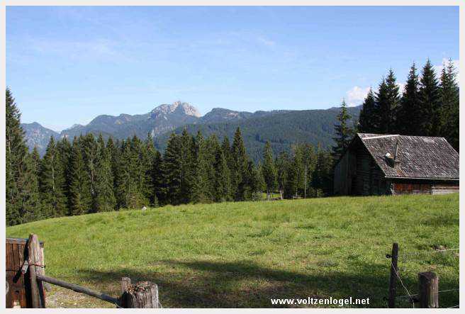 Exploration des trésors cachés de Gosau dans le Salzkammergut.