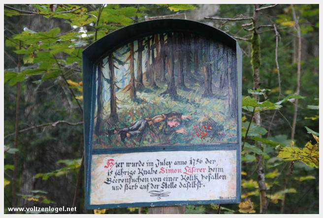 Exploration des trésors cachés de Gosau dans le Salzkammergut.