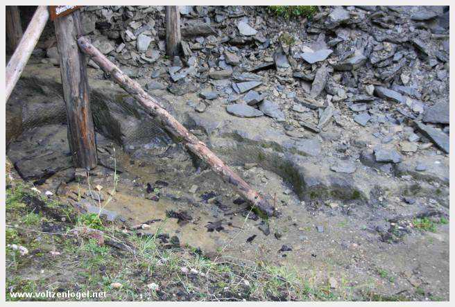 Exploration des trésors cachés de Gosau dans le Salzkammergut.