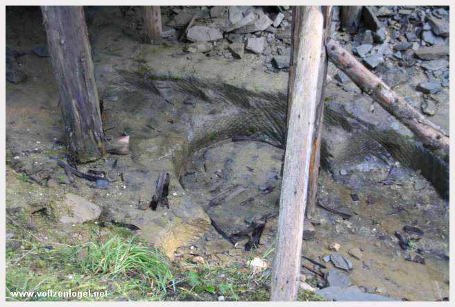Exploration des trésors cachés de Gosau dans le Salzkammergut.