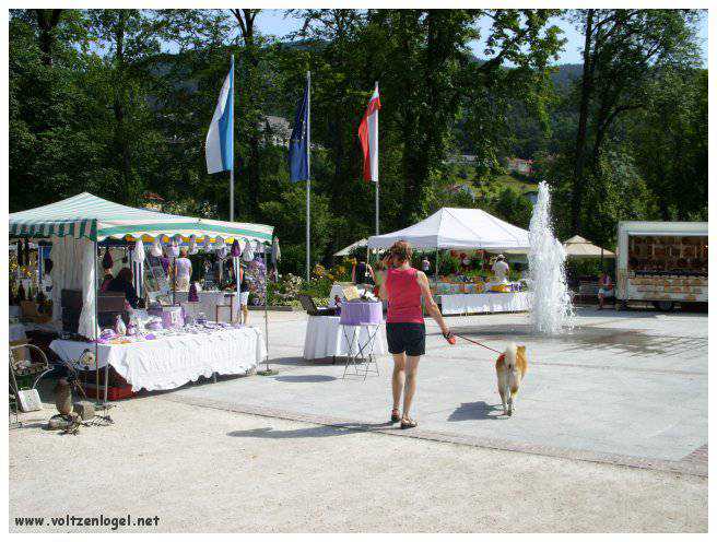 Explorez la beauté naturelle de MondSeeLand.