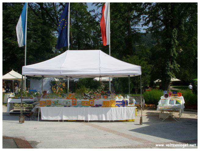 Explorez la beauté naturelle de MondSeeLand.