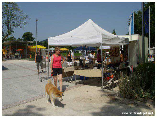 Explorez la beauté naturelle de MondSeeLand.