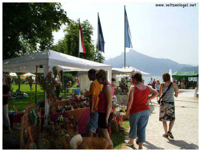 Explorez la beauté naturelle de MondSeeLand.