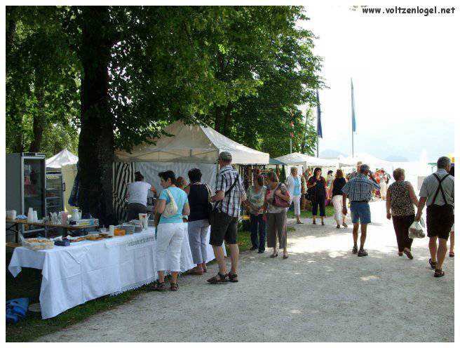 Explorez la beauté naturelle de MondSeeLand.