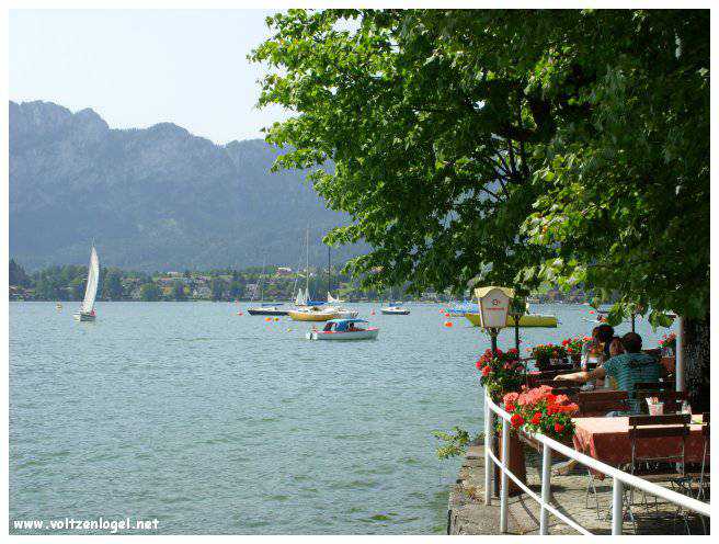 Explorez la beauté naturelle de MondSeeLand.