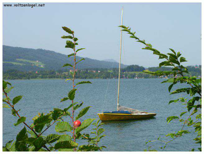 Explorez la beauté naturelle de MondSeeLand.