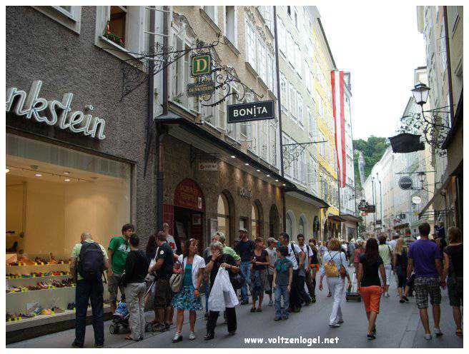 Vue panoramique de la forteresse Hohensalzburg surplombant la vieille ville historique de Salzbourg.