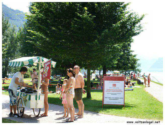 Vue panoramique du lac Traunsee et des Alpes de Salzbourg, symboles de la beauté naturelle autrichienne.