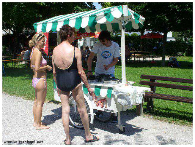 Vue panoramique du lac Traunsee et des Alpes de Salzbourg, symboles de la beauté naturelle autrichienne.