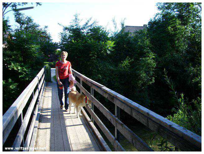 Vue panoramique sur le lac Attersee à Weyregg am Attersee, Salzkammergut, Autriche.