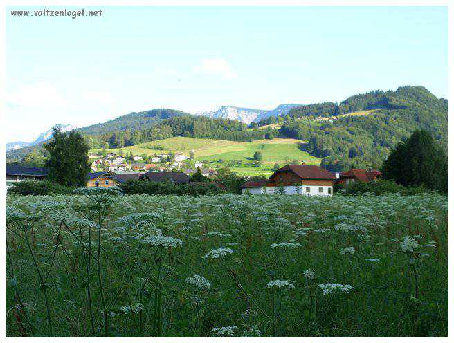 Vue panoramique sur le lac Attersee à Weyregg am Attersee, Salzkammergut, Autriche.