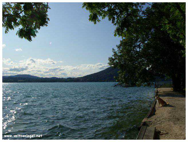 Vue panoramique sur le lac Attersee à Weyregg am Attersee, Salzkammergut, Autriche.