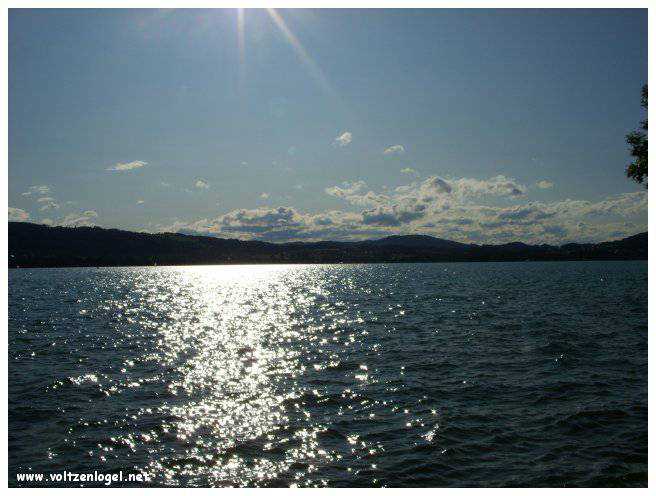 Vue panoramique sur le lac Attersee à Weyregg am Attersee, Salzkammergut, Autriche.