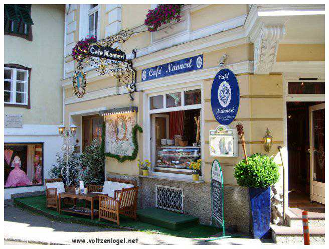 Vue panoramique du lac Wolfgangsee à Sankt Wolfgang im Salzkammergut, Autriche