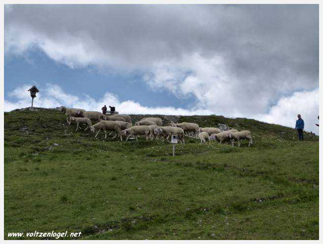 Panorama hivernal de Schlick2000, avec des skieurs dévalant les pistes enneigées des Alpes autrichiennes