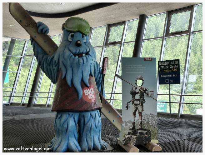 Panorama du Glacier de Stubai, sommet alpin et nature autrichienne