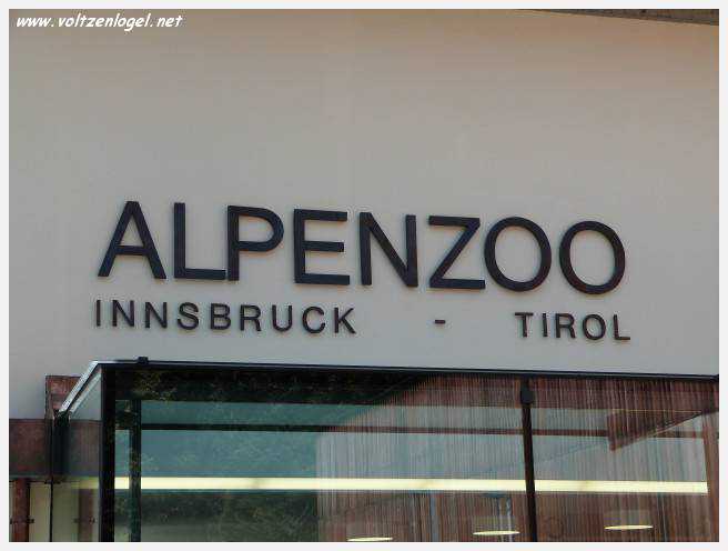 AlpenZoo Innsbruck au Tirol. Le meilleur de la capitale des Alpes