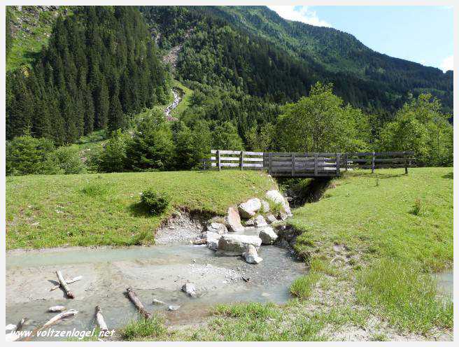 Kids Park Klaus Äuele à Neustift : Aventure familiale dans la vallée du Stubai