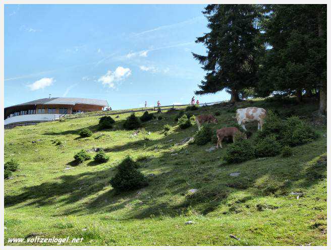 Vue panoramique depuis le téléphérique du Serles à Mieders, Vallée du Stubai