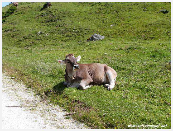 Vue panoramique depuis le téléphérique du Serles à Mieders, Vallée du Stubai