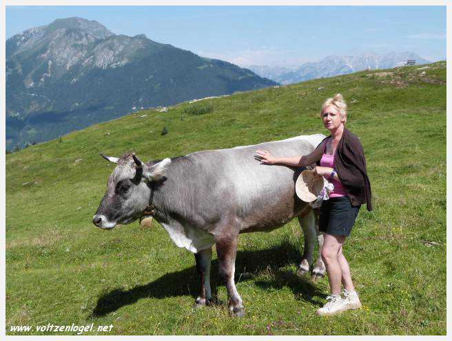 Vue panoramique depuis le téléphérique du Serles à Mieders, Vallée du Stubai
