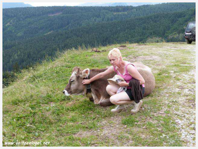 Vue panoramique depuis le téléphérique du Serles à Mieders, Vallée du Stubai