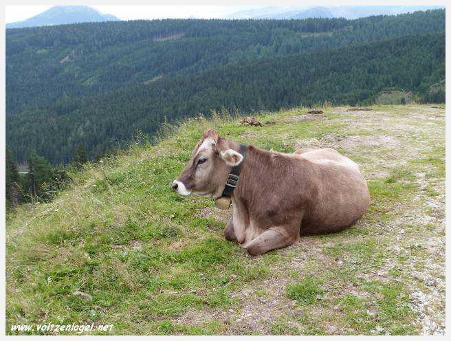 Vue panoramique depuis le téléphérique du Serles à Mieders, Vallée du Stubai