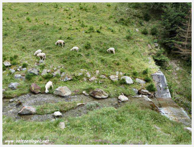 Vue panoramique depuis le téléphérique du Serles à Mieders, Vallée du Stubai