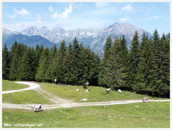 Vue panoramique depuis le téléphérique du Serles à Mieders, Vallée du Stubai