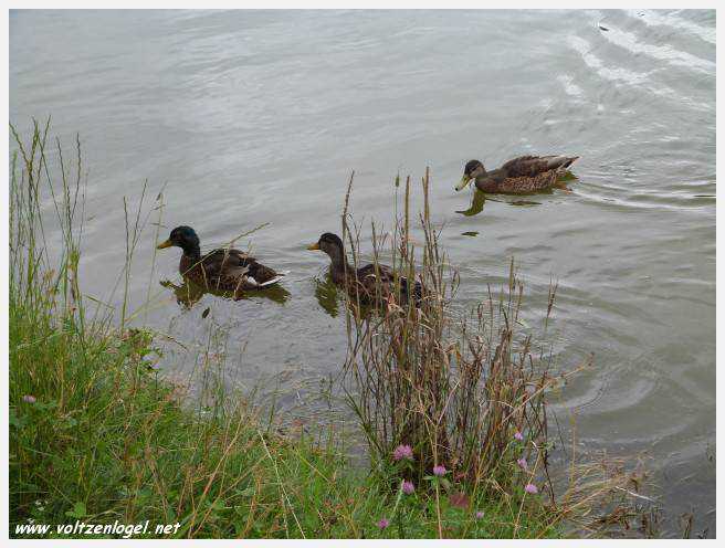 Vue panoramique sur le lac Kampler dans la vallée alpine du Stubai, Tyrol, Autriche