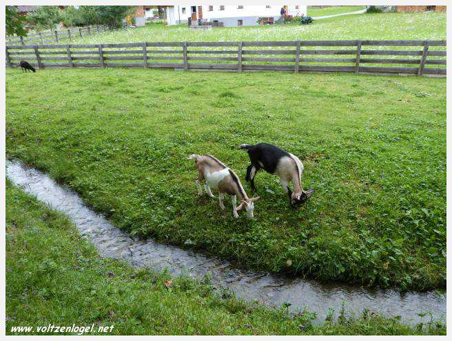 Vue panoramique sur le lac Kampler dans la vallée alpine du Stubai, Tyrol, Autriche