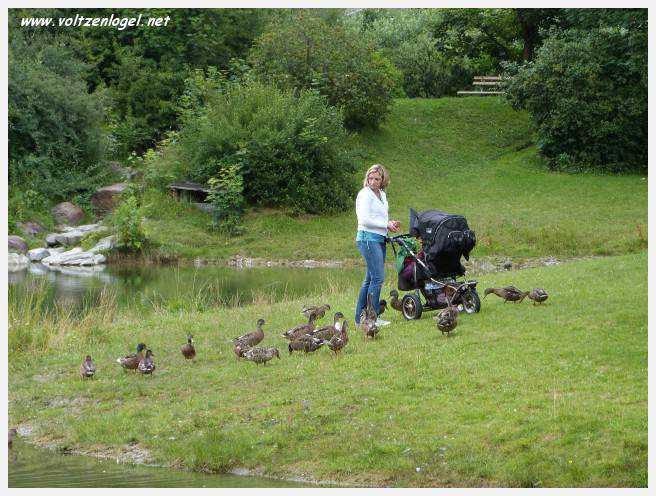 Vue panoramique sur le lac Kampler dans la vallée alpine du Stubai, Tyrol, Autriche