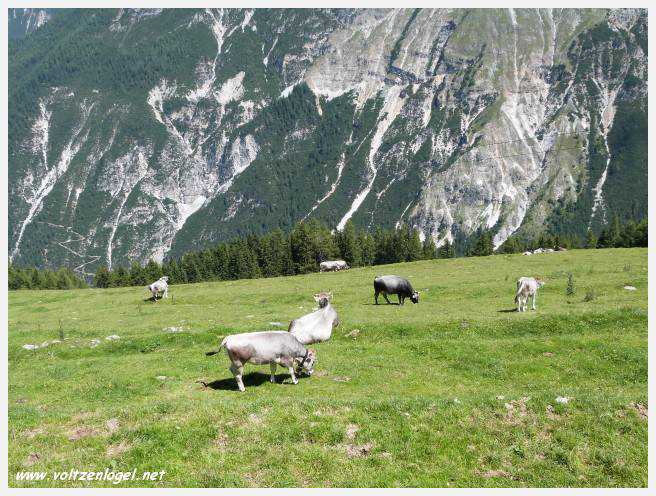 Vue panoramique des montagnes alpines de Neustift au Stubaital