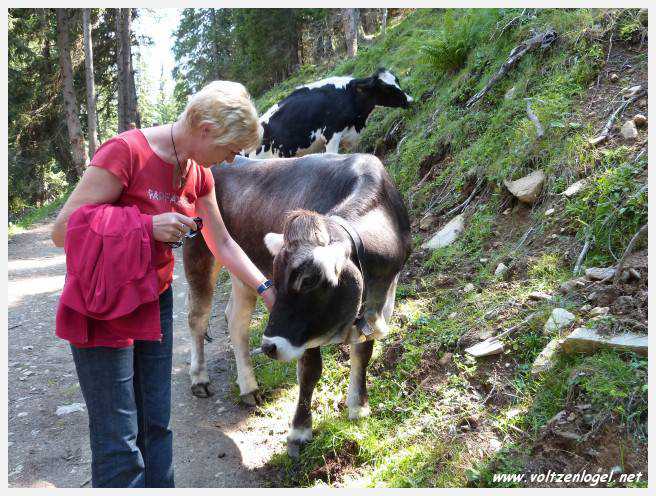 Vue panoramique des montagnes alpines de Neustift au Stubaital