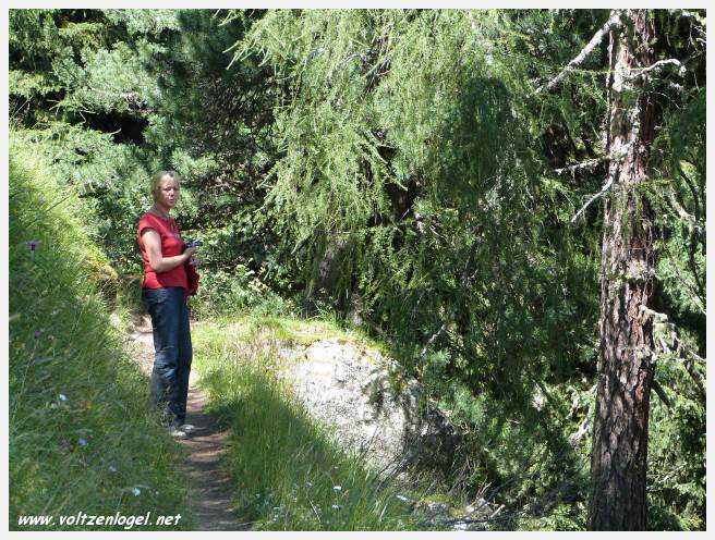 Vue panoramique des montagnes alpines de Neustift au Stubaital