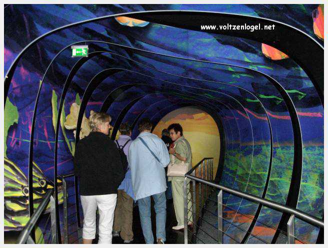 Éclat du cristal Swarovski à Wattens, Tyrol : Chambres des Merveilles et créations uniques