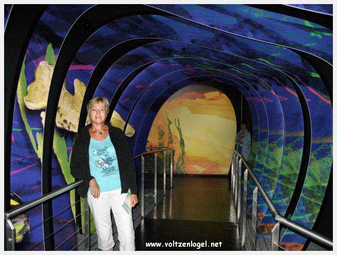 Éclat du cristal Swarovski à Wattens, Tyrol : Chambres des Merveilles et créations uniques