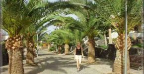 La promenade de Las Americas à Tenerife