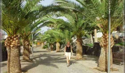 La promenade de Las Americas à Tenerife