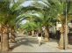 La promenade de Las Americas à Tenerife