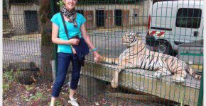 Big five au cours d'un safari en Tanzanie