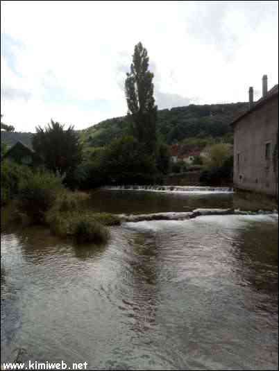 La Cuisance. Rivière à Arbois dans le Jura